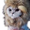Pet Lion Mane Costume Headgear for Cats Halloween Parties Photo Shoots