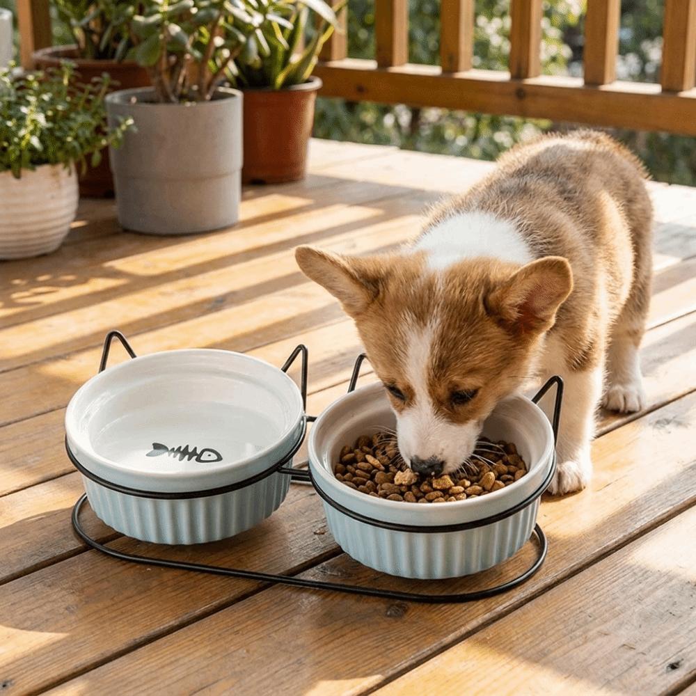 Non-Slip Ceramic Cat Bowls Iron Bracket Cat Water Bowls Elevated Cat Double Bowls  Dog Feeder