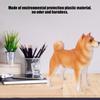 Lifelike Simulation Animal Model Plastic Dog Shape Gift Home Office Decoration Educational Toy