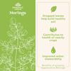 Organic India, Moringa, Veggie Capsules 180 Tablets (350mg per capsule)