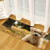 Animal Entry Mat Kitchen Absorbent Mat Bathroom Non-Slip Mat Bedroom Living Room Carpet Floor Mat