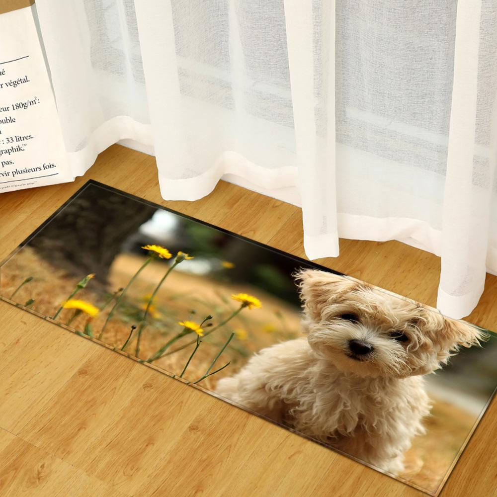 Animal Entry Mat Kitchen Absorbent Mat Bathroom Non-Slip Mat Bedroom Living Room Carpet Floor Mat
