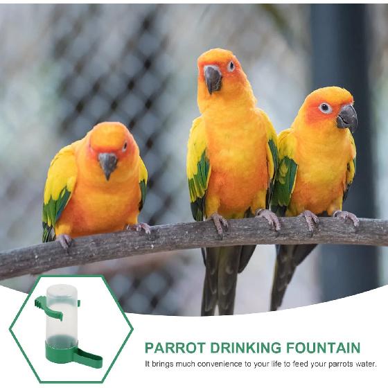 10pcs Automatic Drinking Bowls Water Feeders for Pigeons and Parrots Design for Birds Convenient Home Decor Water Dispenser