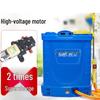 Xiang Zhi Lv Rechargeable Electric Backpack Sprayer