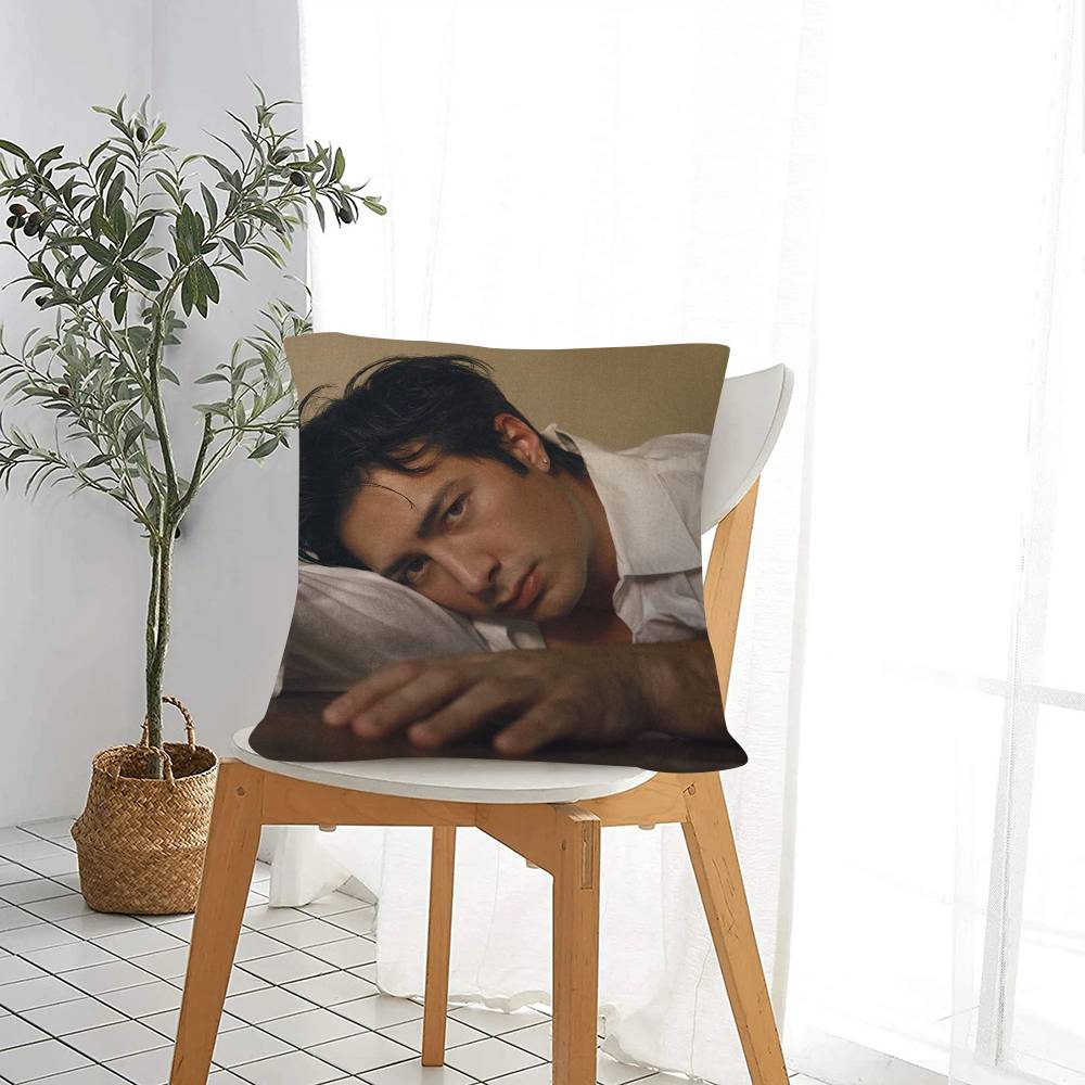 Hudson Williams Connor Storrie Heated Cushion Cover Pillowcase Upholstery Sofa Throw Pillow Home Decor Pillowcas