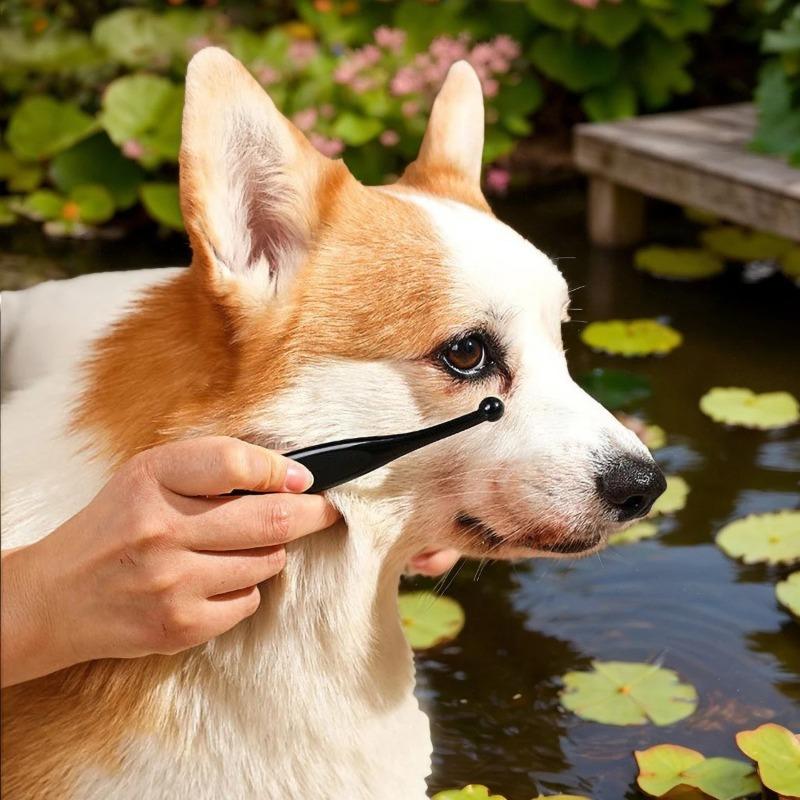 Hřeben na oči pro domácí mazlíčky psi Odstraňovač skvrn od slz Kartáč Kartáč na čištění očí pro domácí mazlíčky Čisticí příslušenství Odstraňování krust Hlen pro malou kočku psa