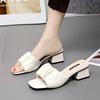2025  New Korean Version High-heeled Sandals for Women with Thick Heels a Straight Drag and a Mid Heeled Shoe for Women