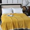2024 Golden Turtle Velvet Blanket with Pineapple Grid Edge Multi functional Solid Color Falei Velvet Blanket Warm Bed Sheet