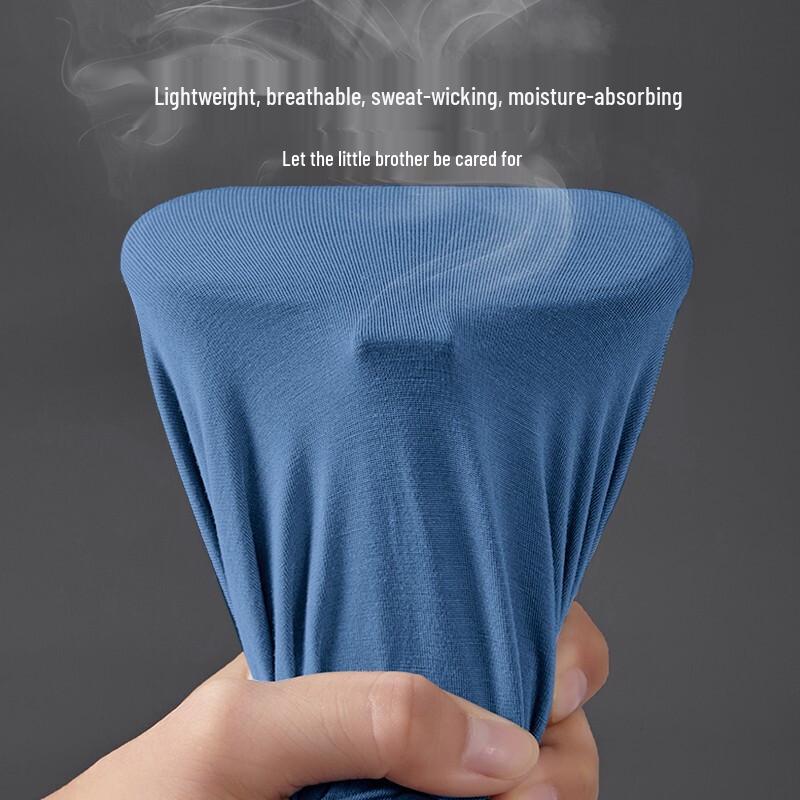 SEPTWOLVES Men's Ice Silk Anti-Mite & Antibacterial Trunks