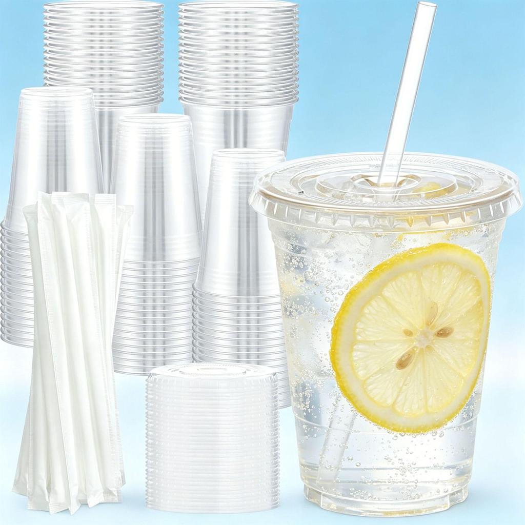 16 Oz Clear Disposable Plastic Cold Drink Cup with Lid and Straw