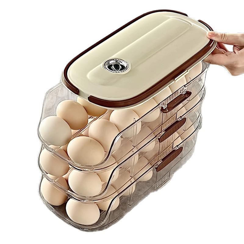 Multi-layer Egg Storage Box with Handle for Refrigerator Door