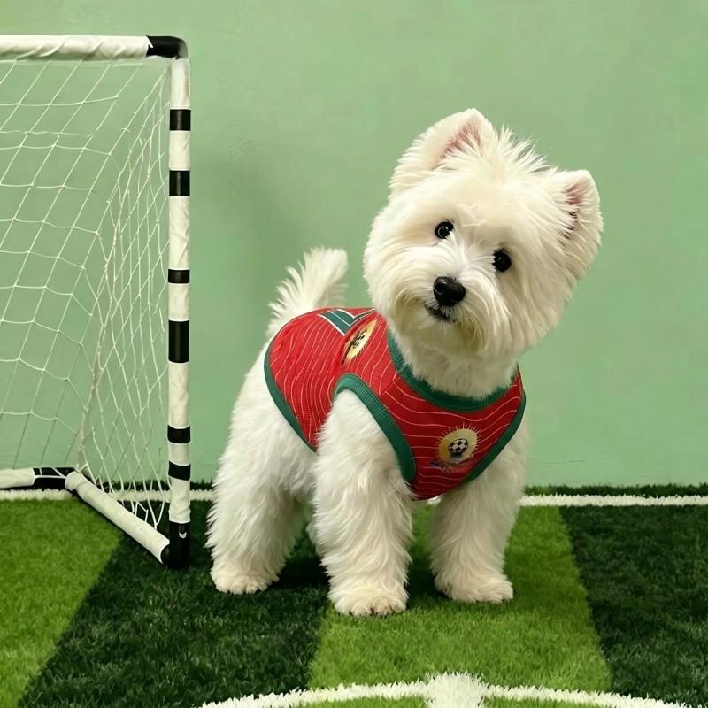 Mesh World Cup Pet Jersey Dog Football Shirt Breathable Cat Clothing National Team
