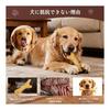 Dog Toy, Chewing, Educational Toy, Toothbrushing, Chewing Toy [For Medium-sized Dogs] Relieve Boredom, Relieve Stress, Improve Lack of Exercise, Safe