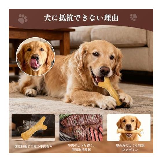 Dog Toy, Chewing, Educational Toy, Toothbrushing, Chewing Toy [For Medium-sized Dogs] Relieve Boredom, Relieve Stress, Improve Lack of Exercise, Safe