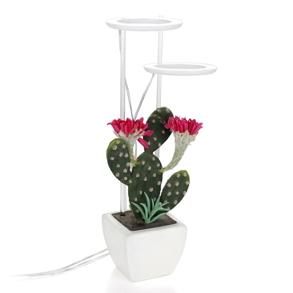 LED Plant Grow Light 5 Dimmable Modes Dual Head Timing USB Plant Lamp for Succulents Potted Plants