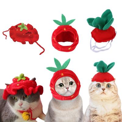 3 Stück Katzenhut, Katzenbekleidung, Obsthut mit Ohren, lustiger Katzenhut, geeignet für Katzen und kleine Hunde, Kätzchen, Welpen, Party-Co