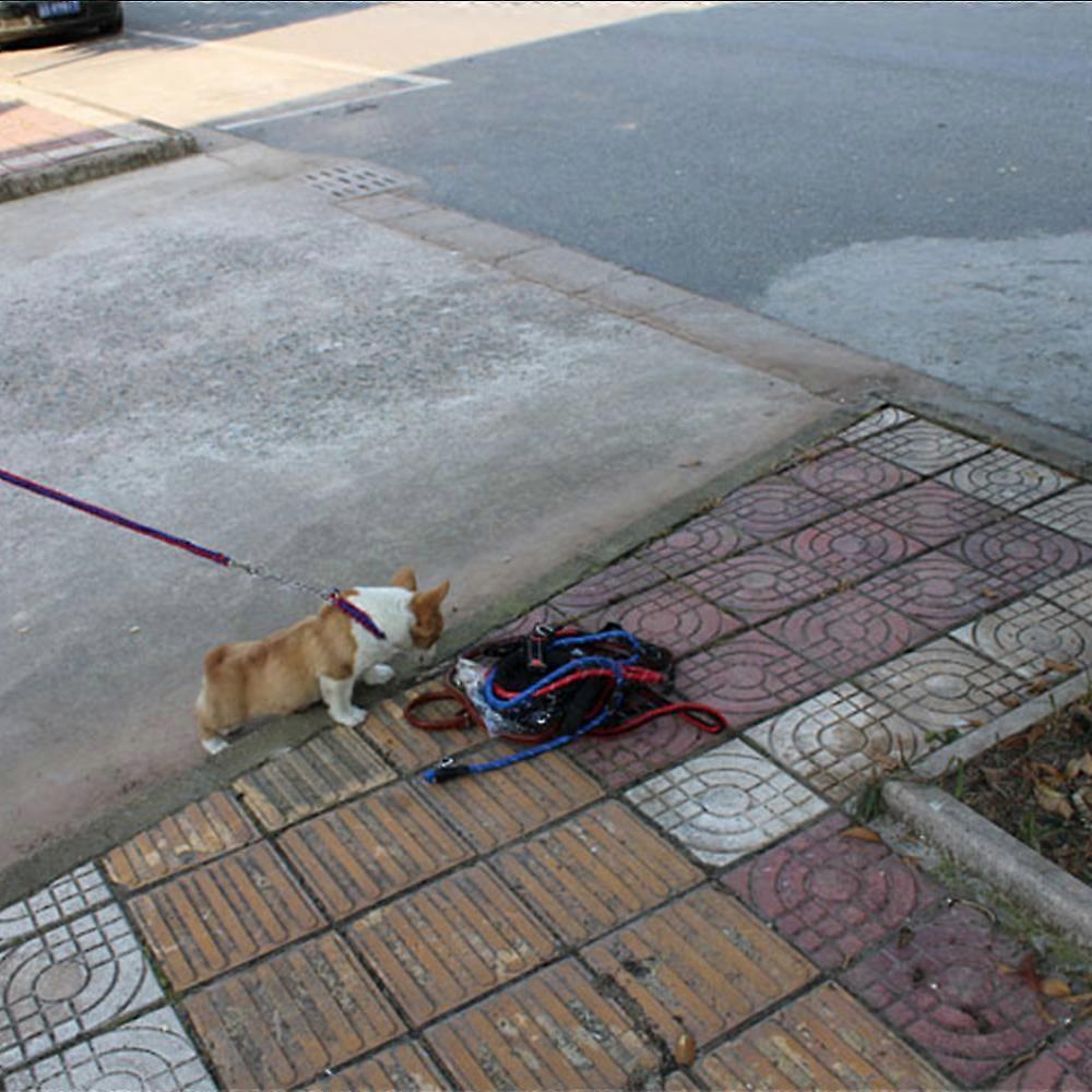 Animals & Pet Supplies > Pet Supplies > Pet Medical Collars
