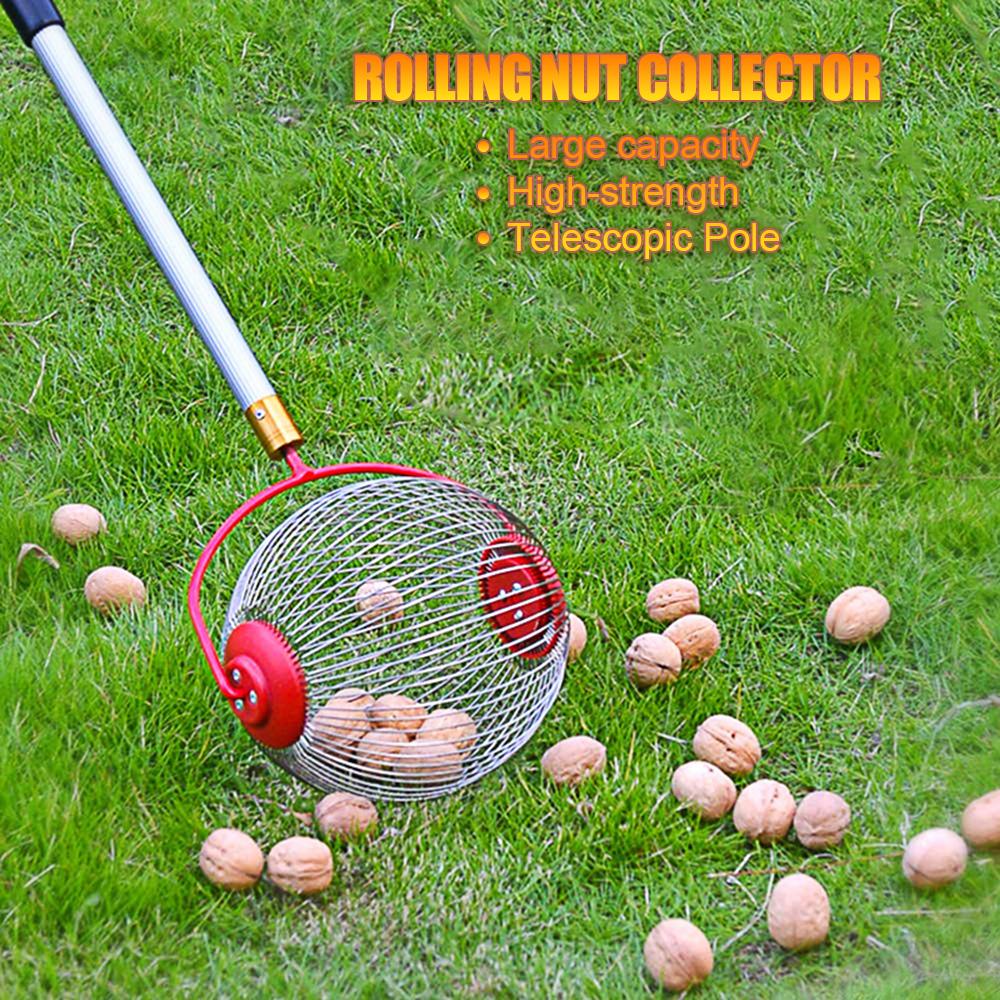 Nut Collector Rolling Nut Picker Adjustable Nut Gatherer Walnut Pick Chestnut Harvester Garden Manual Tool Pick Up Acorn Pine Cone Pecan Golf-Ball Te