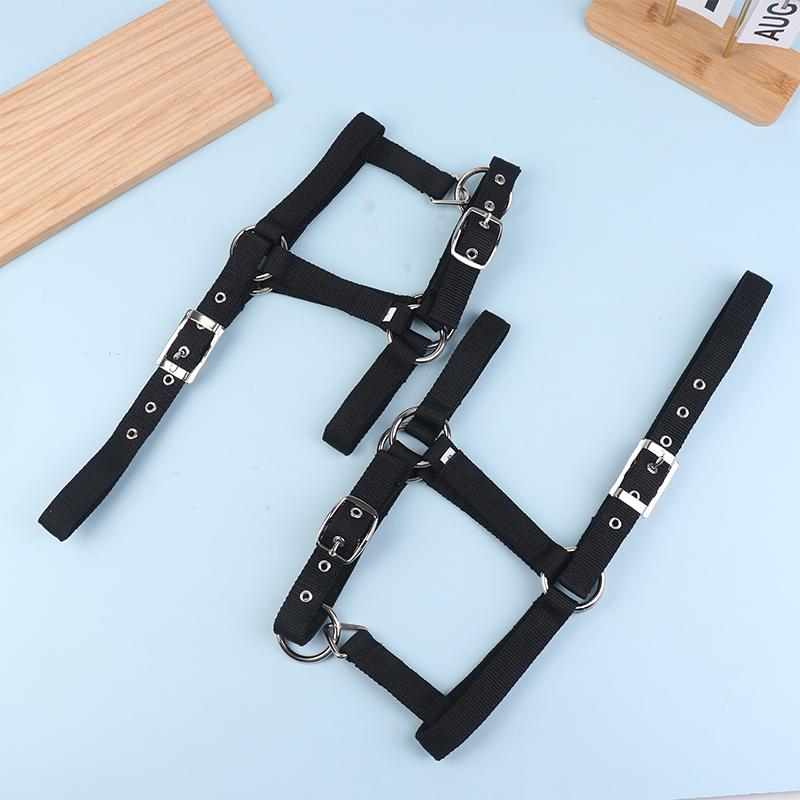 Ayarlanabilir Naylon Dokuma Binicilik Batı At Yuları At Binme Giyim Siyah Xs S M L Xl Ergonomik Rahat Yularlar