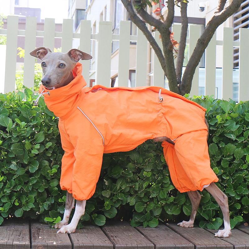 

Waterproof Dog Raincoat Italy Greyhound Whippet Jacket Sun-proof Adjustable High Collar Zipper Pet Raincoat Outdoor Walkin M