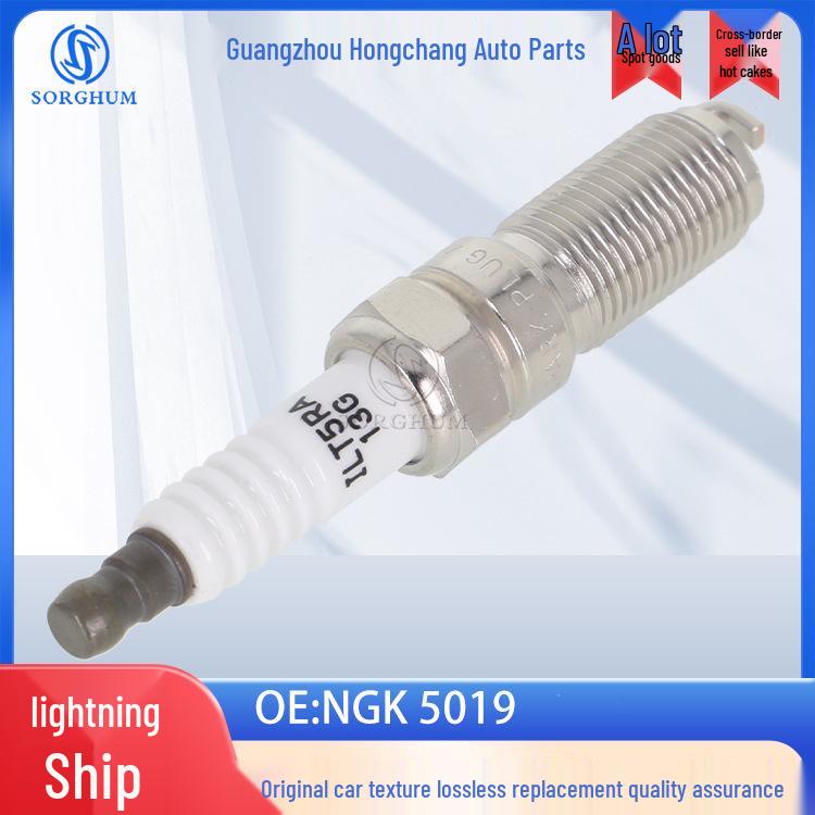 NGK 5019: High-performance automotive spark plug for ignition systems.