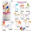 Frog Life Cycle Model Set: Tadpole to Frog Educational Toys for Kids