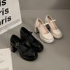 Platform French Mary Jane Women's Shoes 2025 New Spring Black High Heels Thick Heel with Skirt Single Shoes