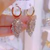 Unique Design Shiny Double Zircons Leaf Earrings for Women Fashion Personalized Daily Accessories Party Zircon Birthday Gifts