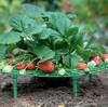 Strawberry Support Keeping Rack Tray Garden Balcony Terrace Fruit Vegetable Growing Stand Holder Protecting Vines Avoid Ground