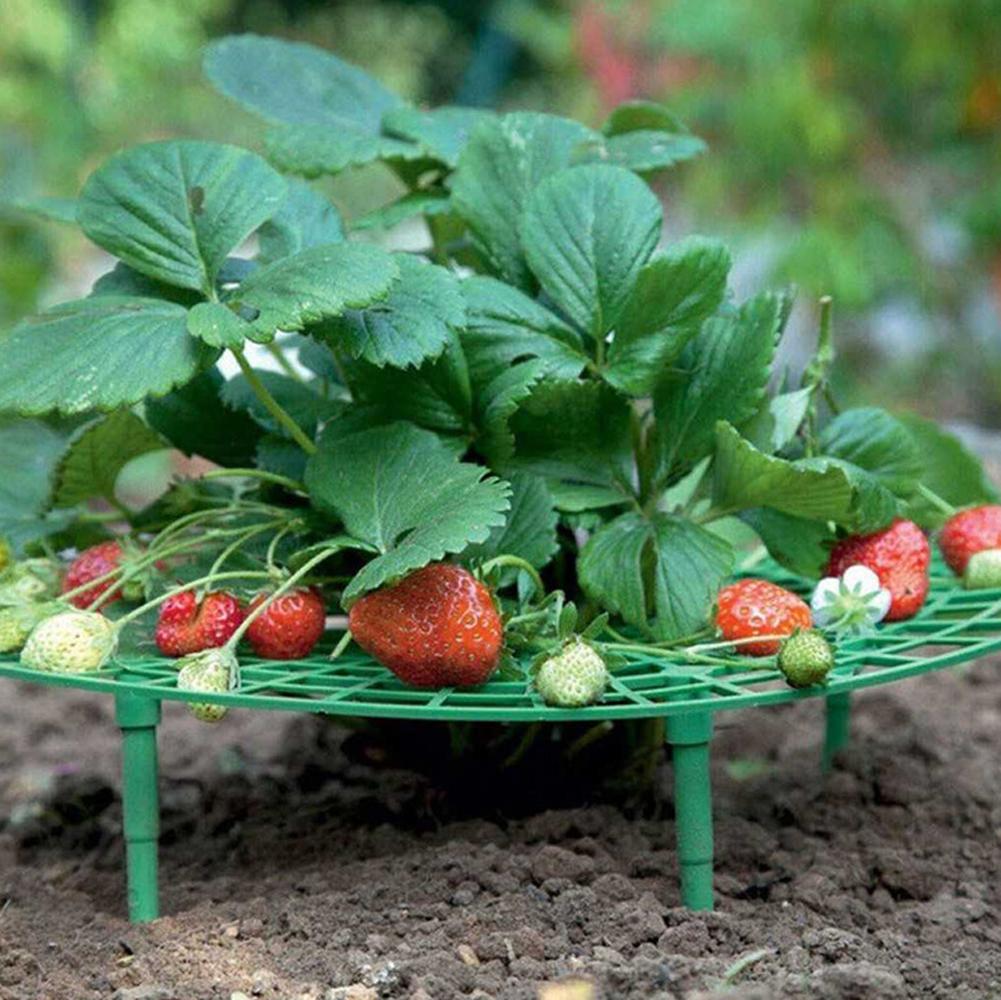 Strawberry Support Keeping Rack Tray Garden Balcony Terrace Fruit Vegetable Growing Stand Holder Protecting Vines Avoid Ground