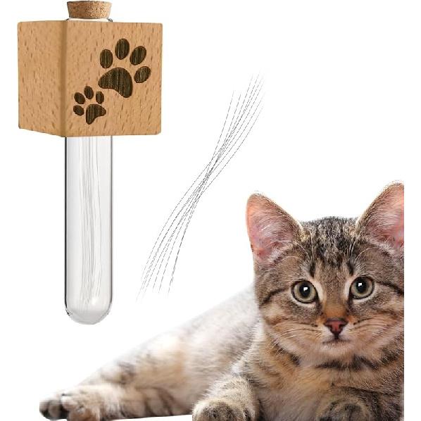 Cat Whisker Jar Fridge Magnet, Cat Whisker Vase, Tiny Vase for Cat Whisker, Loss of Cat Sympathy Gift, Cat Whisker Collector, Cat Whisker Holder, Beech Wood
