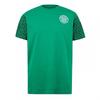 Mens Graphic T-Shirt