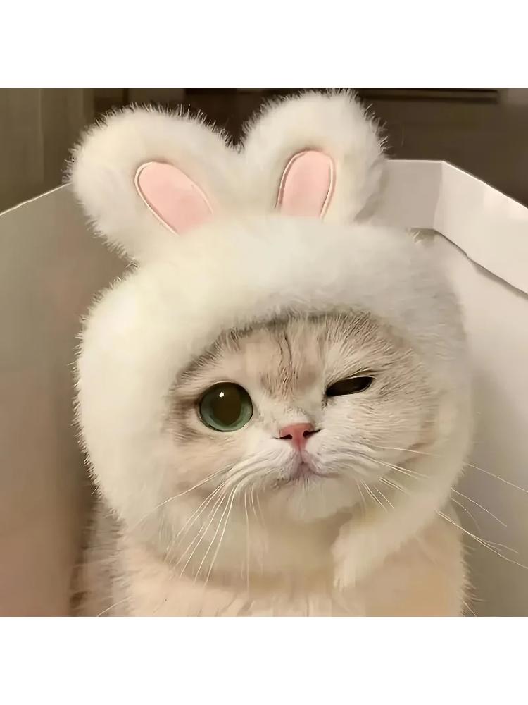 1pc Bunny Ears Hat for Cats Dogs, Knit Pet Costume Headwear, Pullover Fun Animal Clothing for Photos & Dress Up, Pet Accessories
