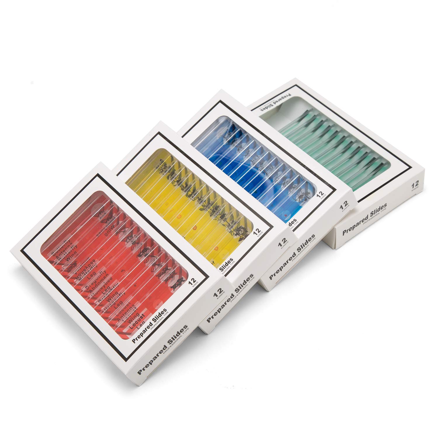 

SWIFT PS48 Science Research Slide Set (48 Slides) - Plastic Specimen Slides for Microscope Experiments (1 Set)