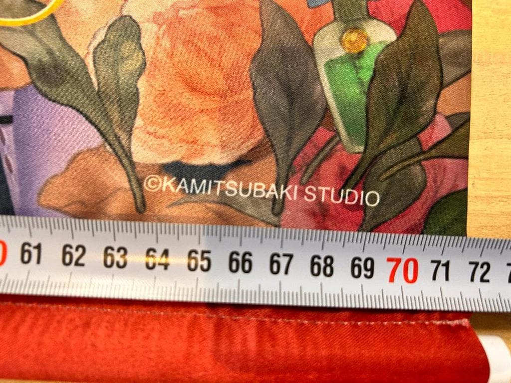 [USED] VALIS B2 Tapestry Applause Curtain Call Live Bonus Kamitsubaki