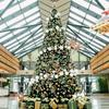 Large Luminous Christmas Tree Frame - 3 to 10 Meters for Hotels & Malls