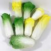 Simulation Cabbage Bok Choy Vegetables: Early Education Ornaments & Props