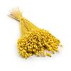 Dried Tremor - (Maximum Breeze) - Yellow