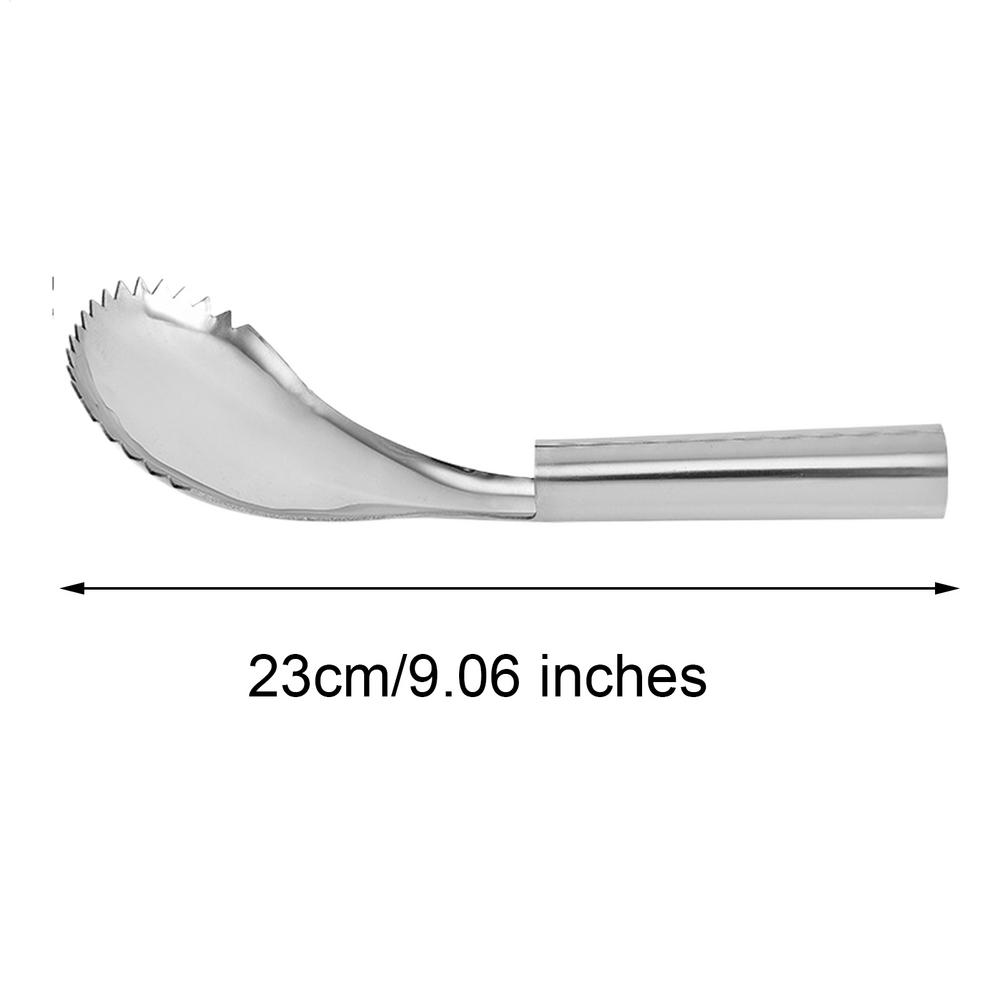 Strumento Rimuovi Semi di Zucca Acciaio Inossidabile Manuale Cucchiaio Dentato Cucchiaio da Intaglio Taglierina per Frutta Verdura Zucca Verdura
