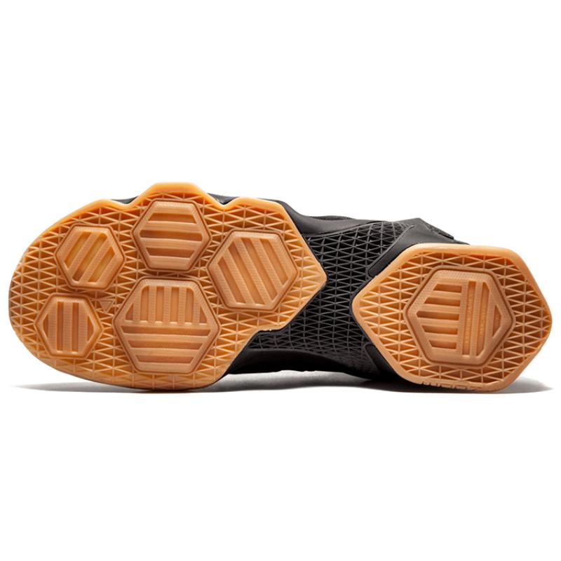 Nike LeBron 13 Black Lion Sneakers 807219-001