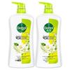 Dettol Fresh Moisturizing Shower Gel, Jasmine & Green Tea