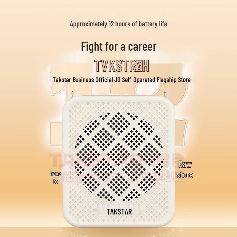 TAKSTAR E150W Wireless Portable Amplifier