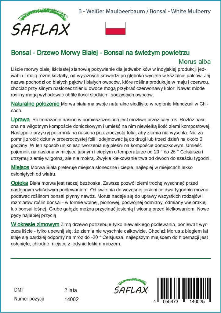 SAFLAX Bonsai - Moruše bílá - 200 semen - Se substrátem pro lepší pěstování - Morus alba