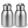 2Pcs Mini Stainless Steel Water Bottle 10oz Insulated Water Bottle Leakproof Travel Mug Portable Small Water Bottle for Home