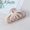 Retro Temperament Thickened Acetate Texture Hair Volume Multi-grip Clip Female New Niche Color Matching Large Hair Accessories Plate Hairpin