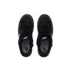 Nike Dunk Slip Resistant Low top Skateboard Shoes Unisex Gray Black DD1391-100(Team1102-)