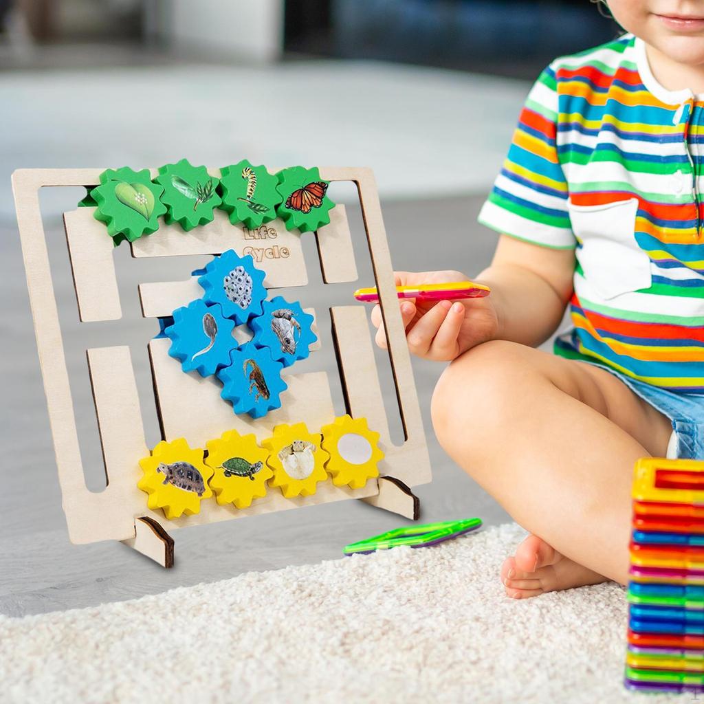 Sensory Toy Wooden Animals Life Growth Cycle Puzzle Educational Montessori for