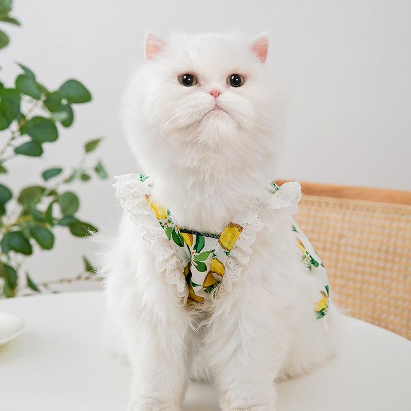 Spring and summer cat lace edge fresh lemon dress into cat kitten puppet cat pet skirt dog clothes