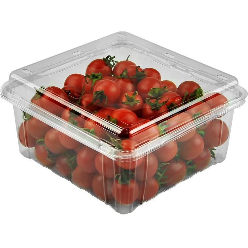 Disposable Round Fruit & Produce Container