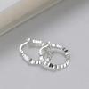 2024 New Luxury 925 Sterling Silver Crushed Earrings – High-End Style for Women